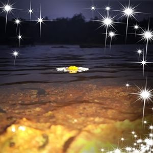 Meet your Posher, Kendra